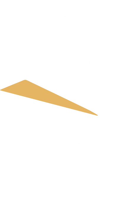Project Story